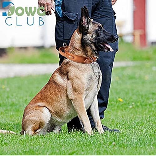 DowgClub | Тактички Куче Јака Со Рачка, Вистински Седло Одделение Кожа | Тешки | Удобно, Поместена, Силна | Најдобро За Средни, Големи &засилувач; X-Големи Раси, Црна)