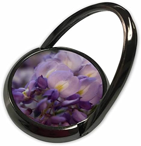 Блуз на цвеќиња од цвеќиња од вистерија со вистерија, цветни цвеќиња - Телефонски ringsвони