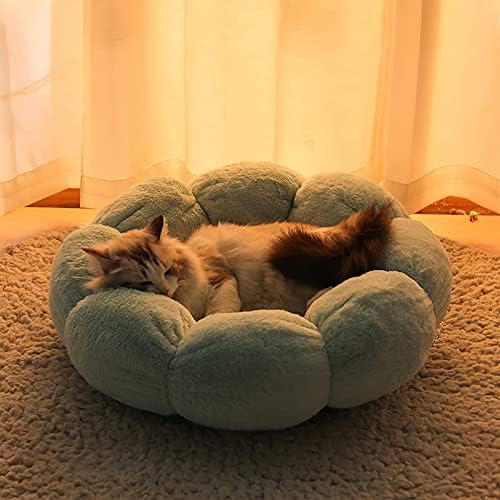 Цветна форма на мачки кревет и само-игра висина на глувчето за глувци за мачки за мачки или мали кучиња, дното против лизгање