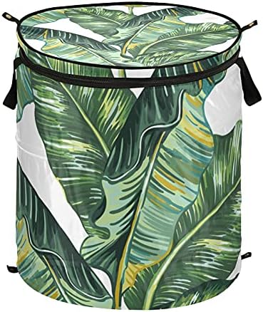 Тропски палми остава да се појават алишта за алишта со патент за патент, корпа за перење, со рачки што може да се склопуваат