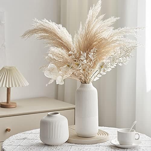 TCIUXYQ бела керамичка вазна декоративна минималистичка модерна ребрави вазни 10 високи за пампас трева, домашни акценти, кујна,