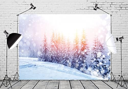 Локаторска ткаенина 9x6ft Зимска позадина Прекрасни снегулки планински снег покриени дрвја Сонцето на чудата Фотографија позадина