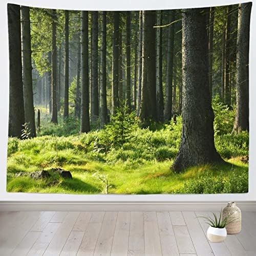 Корфото 9x6ft ткаенина Сончева смрека шума позадина зелена смрека дрвја ливада шума позадина за деца возрасни портрет летен